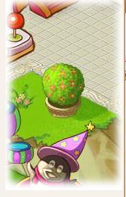 qq秘密花园吃瓜,吃瓜群众的热议焦点