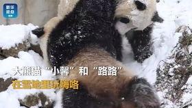 吃瓜的小馨,揭秘娱乐圈那些事儿