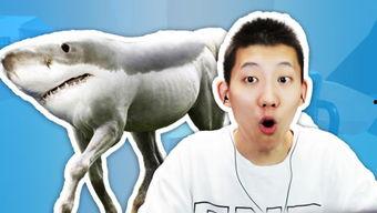 鲤鱼ace解说吃瓜,揭秘吃瓜背后的娱乐真相