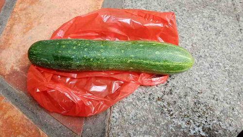 不定时吃瓜,跟随不定时吃瓜的趣味人生