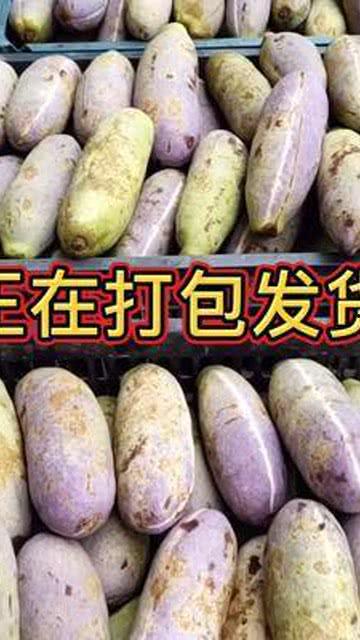 八月瓜没吃,探寻神秘果实的奥秘