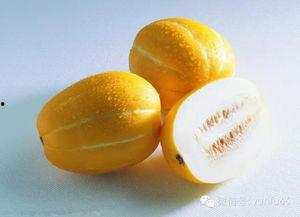 孕初期吃脆瓜,助力母婴健康营养之旅