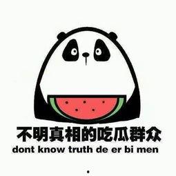 吃瓜群微,网络社交新现象背后的故事