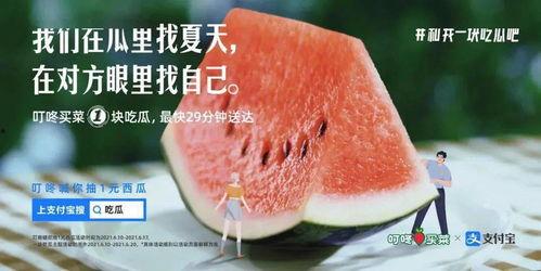 清爽吃瓜,尽享吃瓜时光