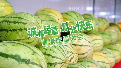 吃瓜欢乐社,揭秘娱乐圈幕后故事，带你领略明星们的真实生活