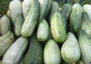 吃酥瓜禁忌什么,食用禁忌须知