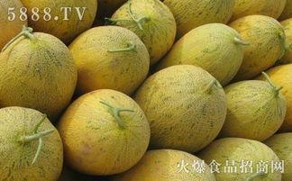 坐月子可以吃哈密瓜吗吗