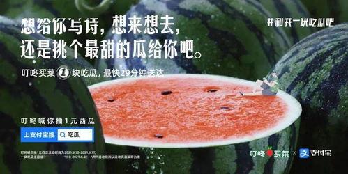 居家吃瓜的文案句子,轻松享受悠闲时光