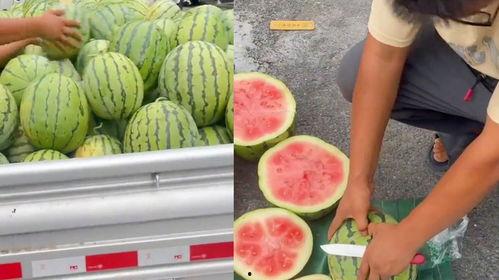 瓜不熟怎么提醒老板吃,巧妙提醒老板品尝佳肴