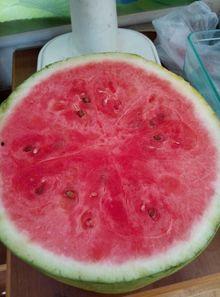 磐石医院吃瓜,揭秘背后的真相与争议