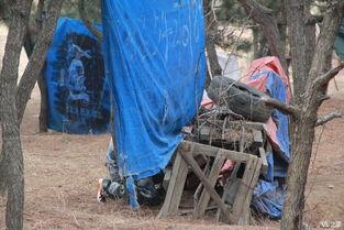 户外吃鸡大瓜,揭秘神秘战队背后的惊人真相