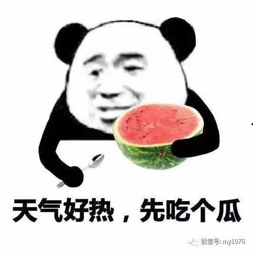 梦见别人送你瓜但没吃,瓜熟蒂落，未食之瓜的寓意解析