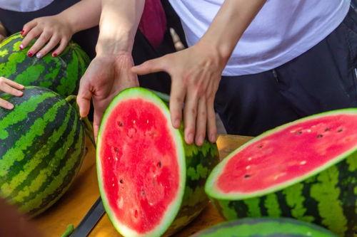 大学那些吃瓜事件,盘点那些引发热议的校园吃瓜事件