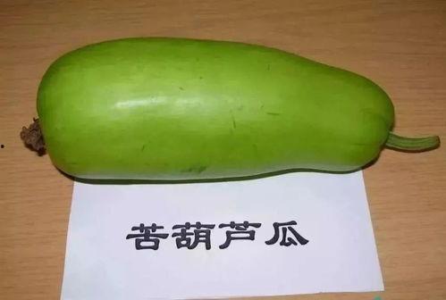 宝宝吃葫芦瓜视频