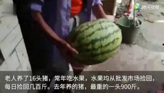 你吃瓜了吗完整视频,完整视频深度解析