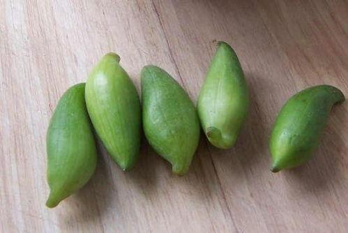 小雀瓜怎么吃,解锁美味新体验