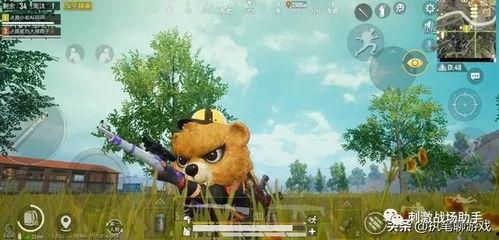 大熊的吃瓜日记在哪找,探寻娱乐圈幕后故事