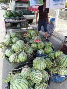 宜兴河边吃瓜事件,一场引发热议的街头冲突瞬间