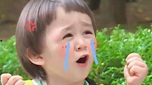 本特利吃瓜,揭秘娱乐圈幕后风云