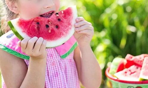 夏天陪你吃瓜,与你共度瓜果时光