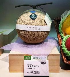 吃瓜界的最高境界,揭秘最高境界的瓜香人生