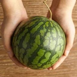 瓜儿胶可以吃吗,天然可食用，健康食品新选择