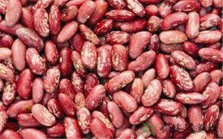 荆瓜花怎么吃,传统佳肴新吃法