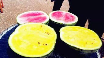 广州吃瓜爆料,吃瓜群众揭秘隐藏美味