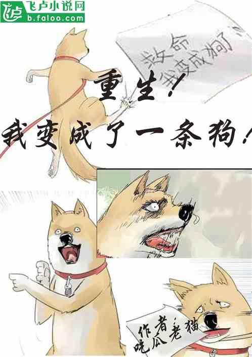 猫吃瓜视频大全爆笑