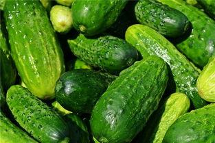 梦见人送瓜吃,揭秘人送瓜吃的神秘寓意