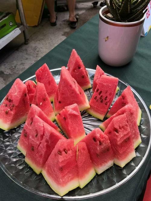 宁夏喝酒吃瓜,畅饮美酒，品味瓜果盛宴