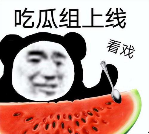 闺蜜吃瓜转场文案,揭秘娱乐圈幕后故事