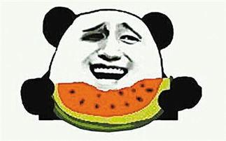 吃瓜群众都在吃什么瓜,吃瓜群众都在吃什么瓜？揭秘热门瓜果背后的故事