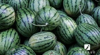 晚上睡前可以吃瓜吗,健康小贴士与注意事项