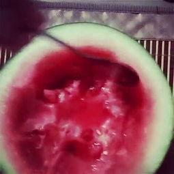 琉璃线上吃瓜,揭秘娱乐圈的幕后风云