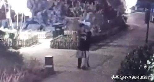 潍坊吃瓜完整视频,一场视觉与味蕾的双重盛宴