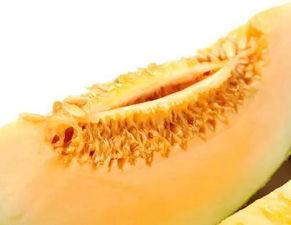 楼兰蜜瓜怎么吃