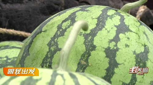 路十三吃瓜,揭秘娱乐圈背后的那些事儿